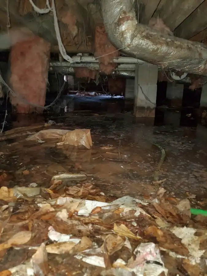Crawl space flood assessment for Leak Detection & Repair in De Queen